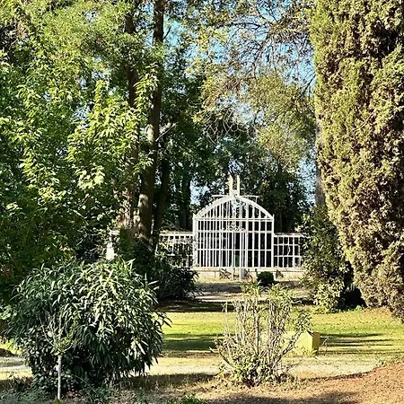 Chateau De Bayssan Affittacamere