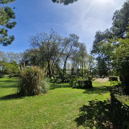 Chateau De Bayssan Guest house