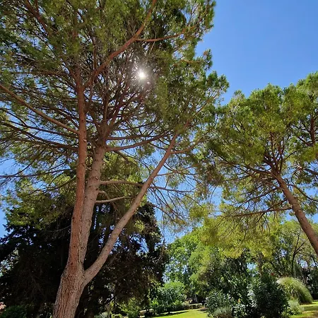 Chateau De Bayssan Guest house Beziers
