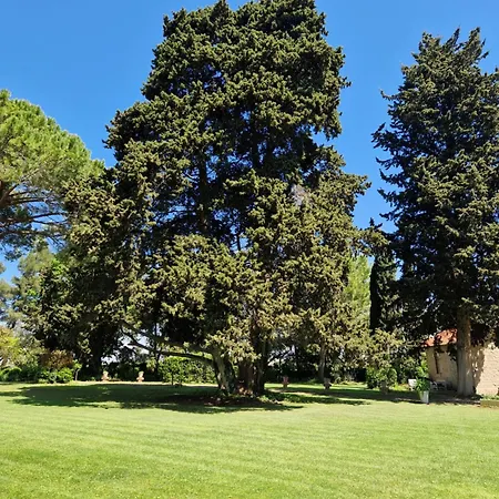 Chateau De Bayssan Pensión 4*