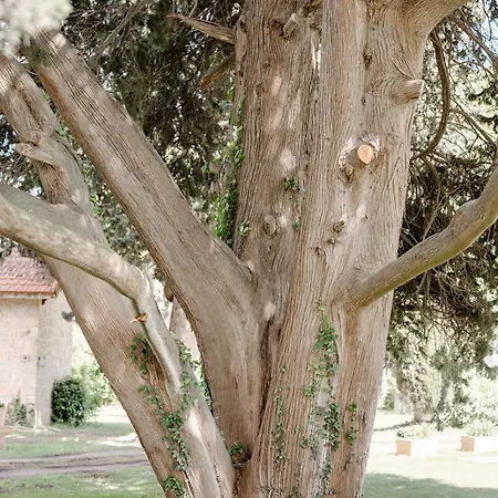 בית הארחה Chateau De Bayssan בזייה