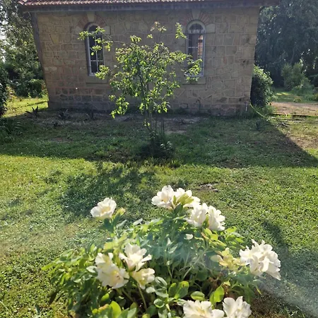 Chateau De Bayssan בזייה